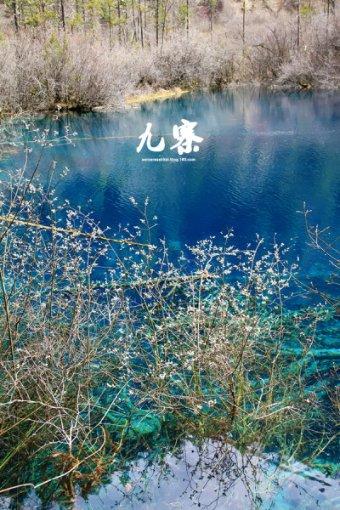武林立志传